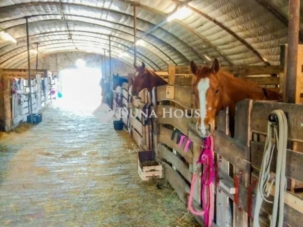 Eladó mezőgazdasági ingatlan Kerepes 90 nm