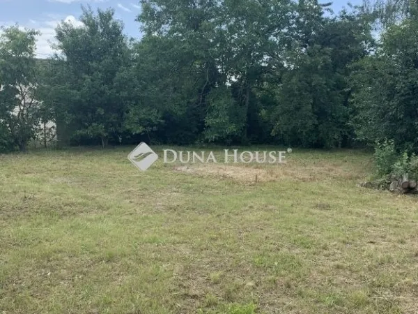 Eladó ház Dány 198 nm