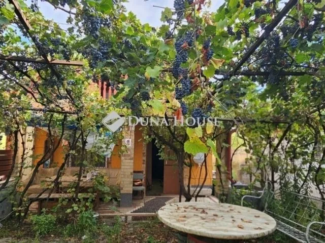 Eladó mezőgazdasági ingatlan Kóka 76 nm