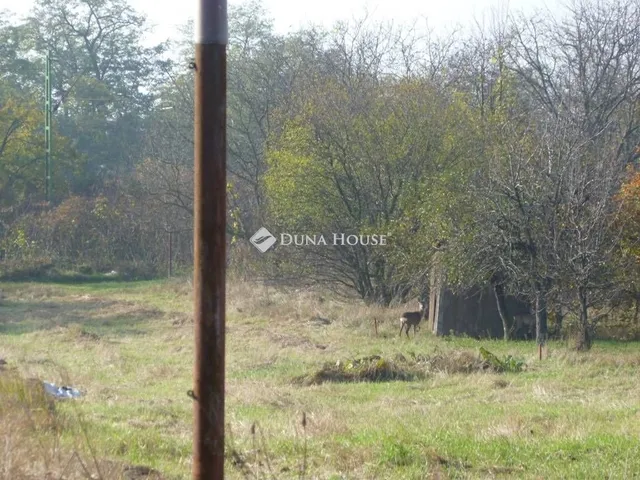 Eladó telek Budapest XVII. kerület 1344 nm