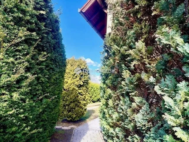 Eladó lakás Budapest XVIII. kerület, Ganzkertváros 121 nm