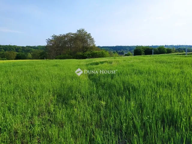 Eladó telek Gomba 3993 nm