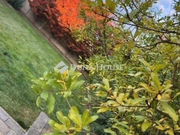 Eladó ház Maglód 156 nm