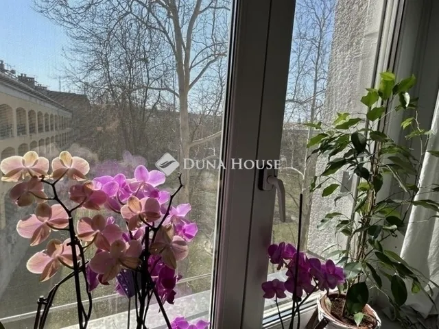 Eladó lakás Budapest XIV. kerület, Rákosfalva 64 nm