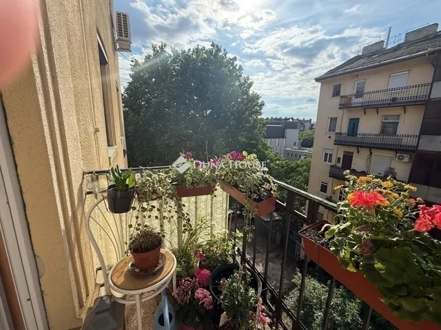 Eladó lakás Budapest XIV. kerület 52 nm