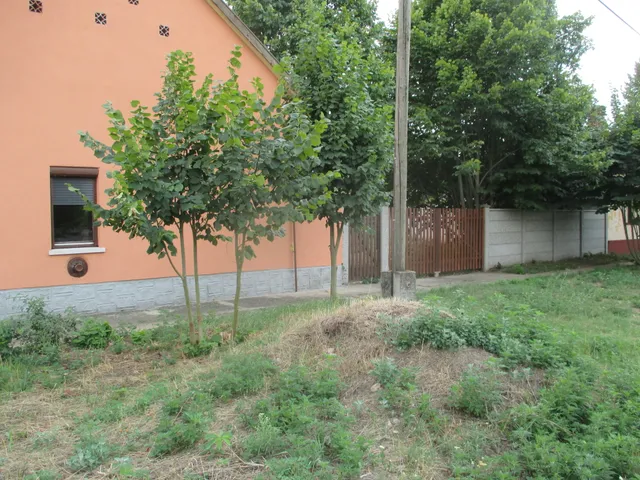Eladó ház Csorvás 80 nm