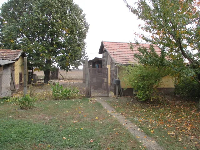 Eladó ház Mezőhegyes 62 nm