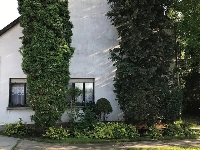 Eladó ház Békéscsaba, Erzsébethely (Jamina) 130 nm