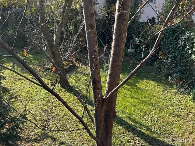 Eladó ház Debrecen, Nagyerdő 195 nm