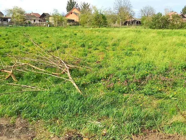 Eladó telek Tiszafüred, Pacsirta út 28 1187 nm
