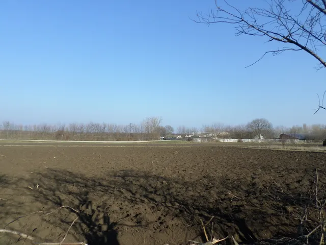 Eladó ház Martonvásár 150 nm