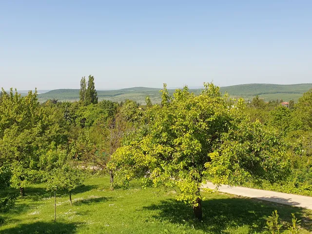 Eladó ház Budakeszi, Máriamakk 396 nm