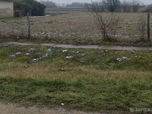 Eladó telek Kisláng 1070 nm