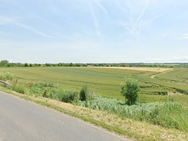 Eladó mezőgazdasági ingatlan Nagyberény 5315 nm