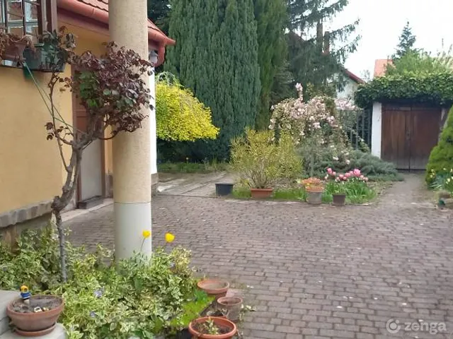 Kiadó ház Székesfehérvár, Sóstó 80 nm