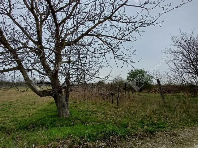 Eladó mezőgazdasági ingatlan Fertőszentmiklós 1342 nm