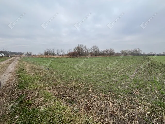 Eladó telek Csévharaszt 14264 nm