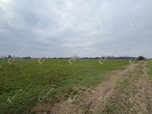 Eladó telek Csévharaszt 9989 nm