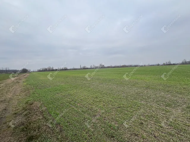 Eladó telek Csévharaszt 9989 nm