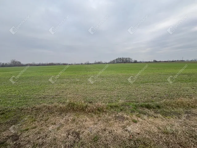 Eladó telek Csévharaszt 9989 nm