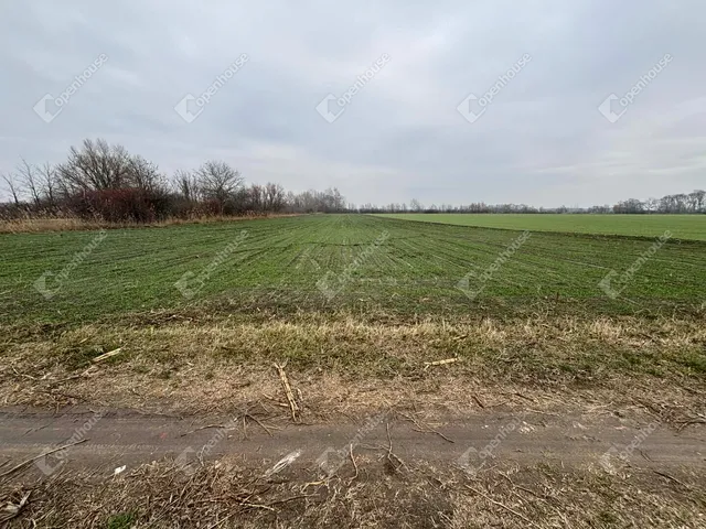 Eladó telek Csévharaszt 13020 nm