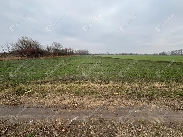 Eladó telek Csévharaszt 13020 nm