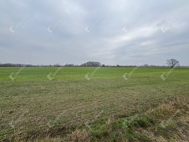 Eladó telek Csévharaszt 14264 nm