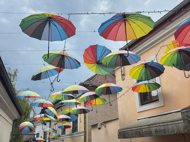 Eladó kereskedelmi és ipari ingatlan Szentendre 167 nm