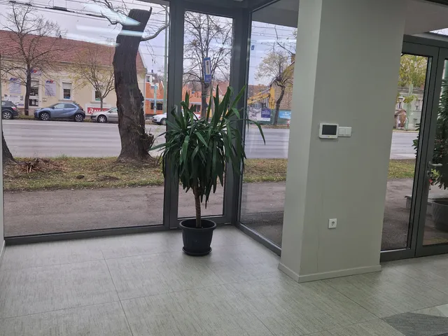 Eladó kereskedelmi és ipari ingatlan Szeged, Belváros 59 nm