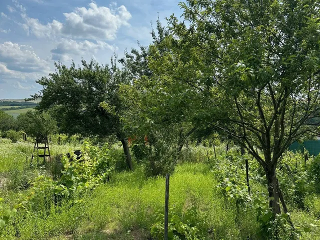 Eladó mezőgazdasági ingatlan Iszkaszentgyörgy 43 nm