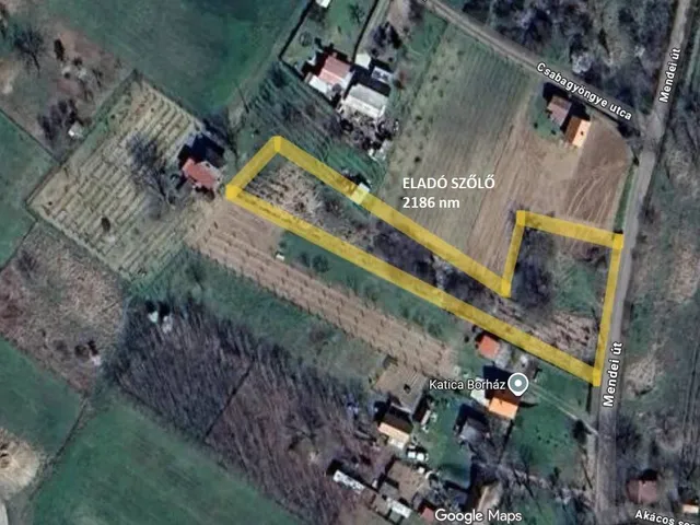 Eladó mezőgazdasági ingatlan Monor 2186 nm