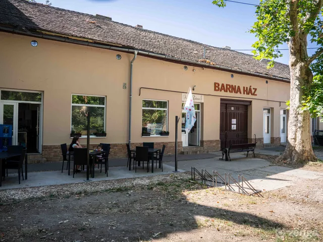 Eladó ház Mindszent 240 nm