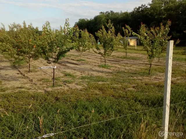 Eladó telek Tököl 5183 nm