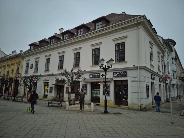 Eladó kereskedelmi és ipari ingatlan Győr, Belváros 727 nm