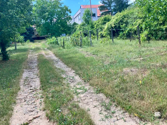 Eladó telek Budapest III. kerület, Csúcshegy, Aranypatak utca 162. 2448 nm