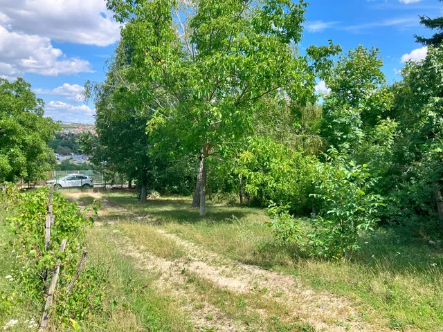 Eladó telek Budapest III. kerület, Csúcshegy 2448 nm