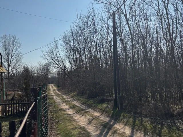 Eladó telek Szentmártonkáta, Borjújárás 5. 1432 nm