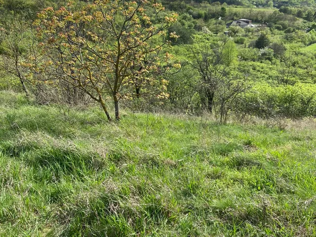 Eladó telek Vác, Gombás 8439 nm