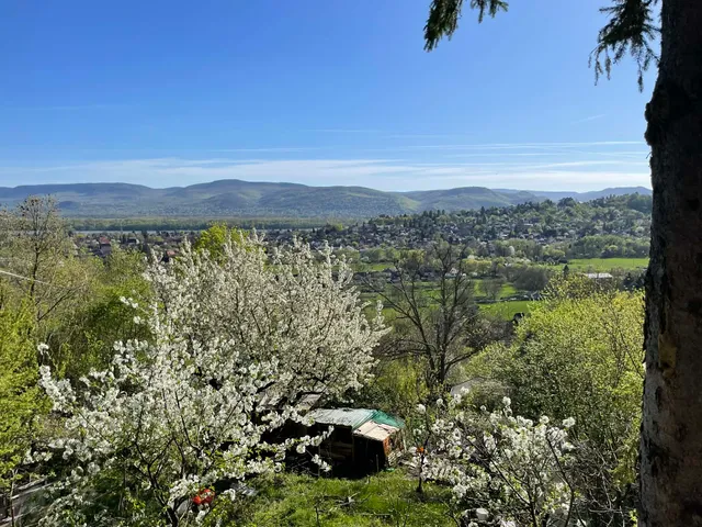 Eladó ház Verőce 50 nm