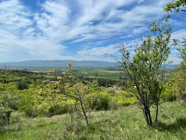 Eladó telek Vác, Gombás 8439 nm