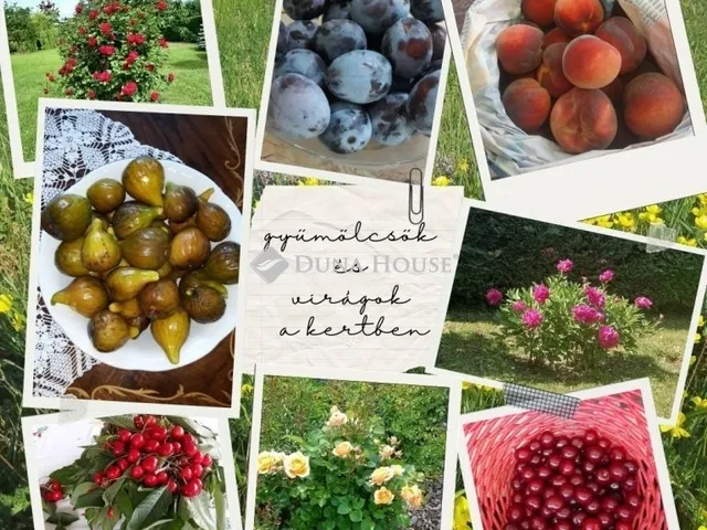 Eladó ház Balatonvilágos 102 nm