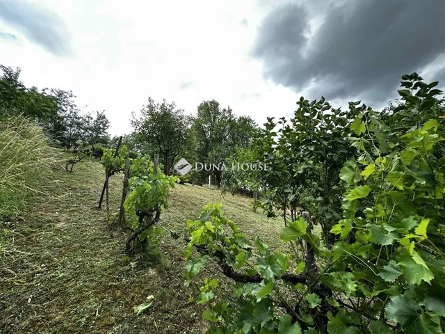 Eladó üdülő és hétvégi ház Tamási 40 nm