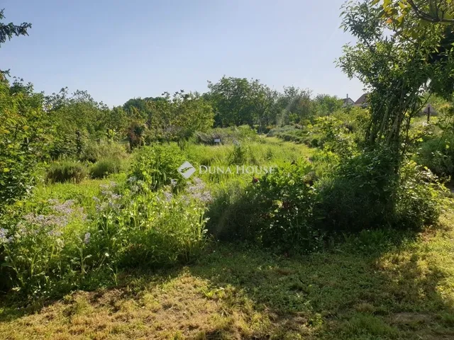 Eladó ház Balatonszárszó 200 nm