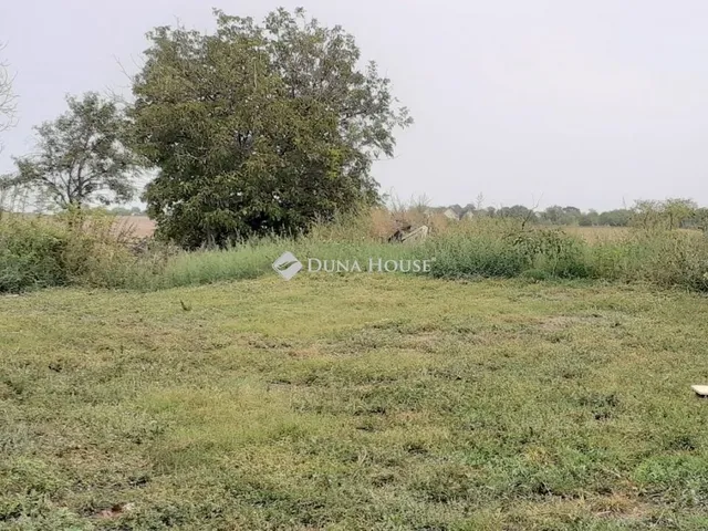 Eladó ház Ádánd 180 nm