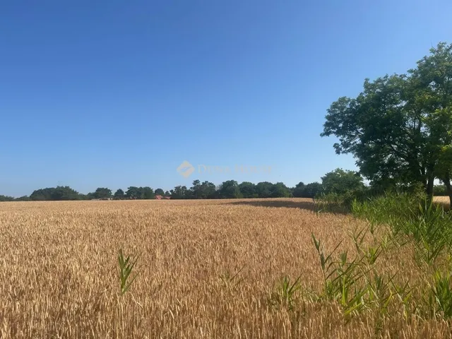 Eladó telek Balatonszabadi 4000 nm
