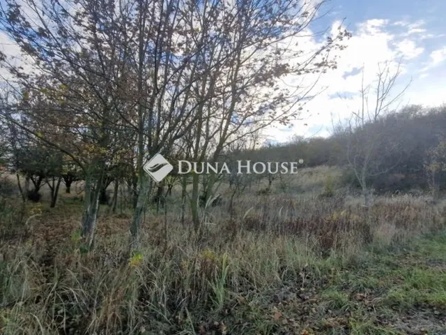 Eladó ház Pusztaszemes 70 nm