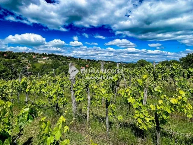 Eladó ház Zamárdi 84 nm