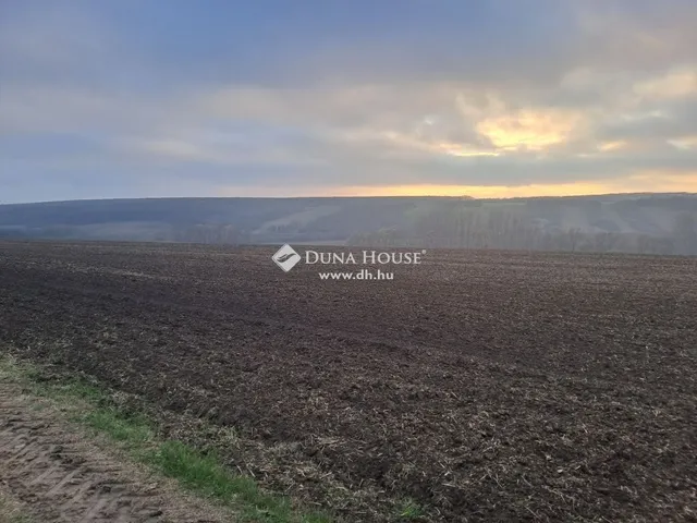 Eladó ház Bedegkér 78 nm