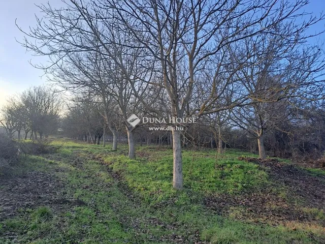 Eladó ház Bedegkér 78 nm