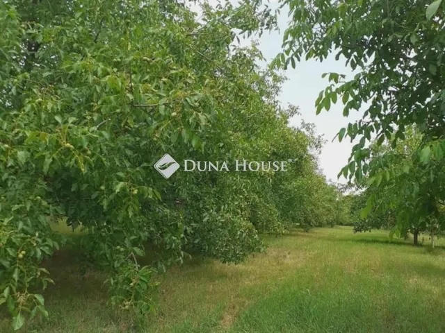 Eladó telek Ádánd 8052 nm